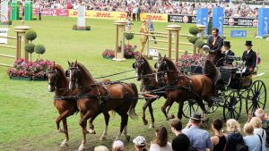chio-aachen-2019-10-k-f-mucc88hler