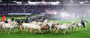 chio-aachen-2019-2-k-f-mucc88hler