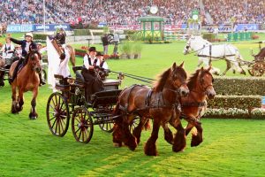 chio-aachen-2019-3-k-f-mucc88hler