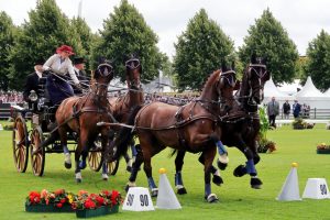 chio-aachen-2019-9-k-f-mucc88hler