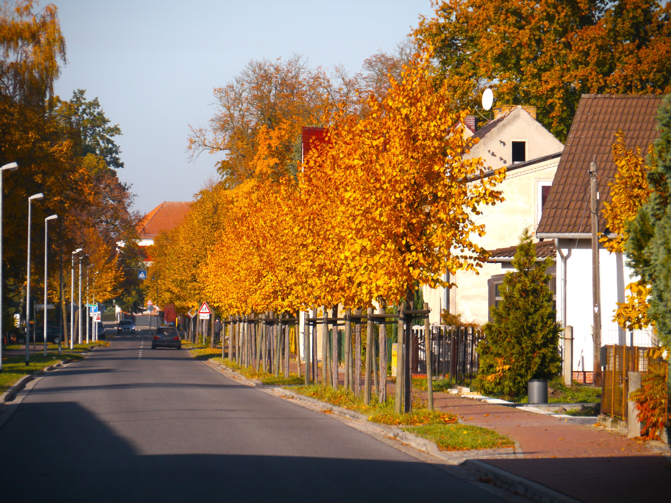 dammzollstrasse-peitz-h-mueller