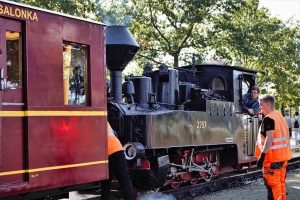 dampfloktreffen-cottbus-3-k-f-muehler