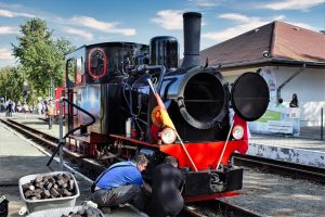 dampfloktreffen-cottbus-4-k-f-muehler