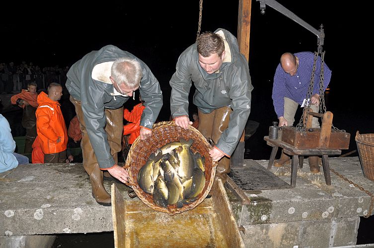 der-erste-karpfen-der-saison-2012-k-lange