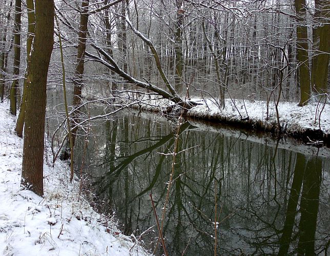 der-hammergraben-p-fritsch