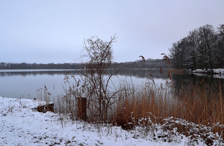 der-streckteich-p-fritsch
