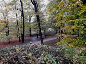 der-strohschirm-im-branitzer-park-p-fritsch