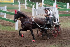 drebkau-frauenpower-2-k-f-mucc88hler