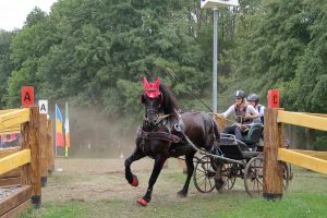 drebkau-frauenpower-3-k-f-mucc88hler