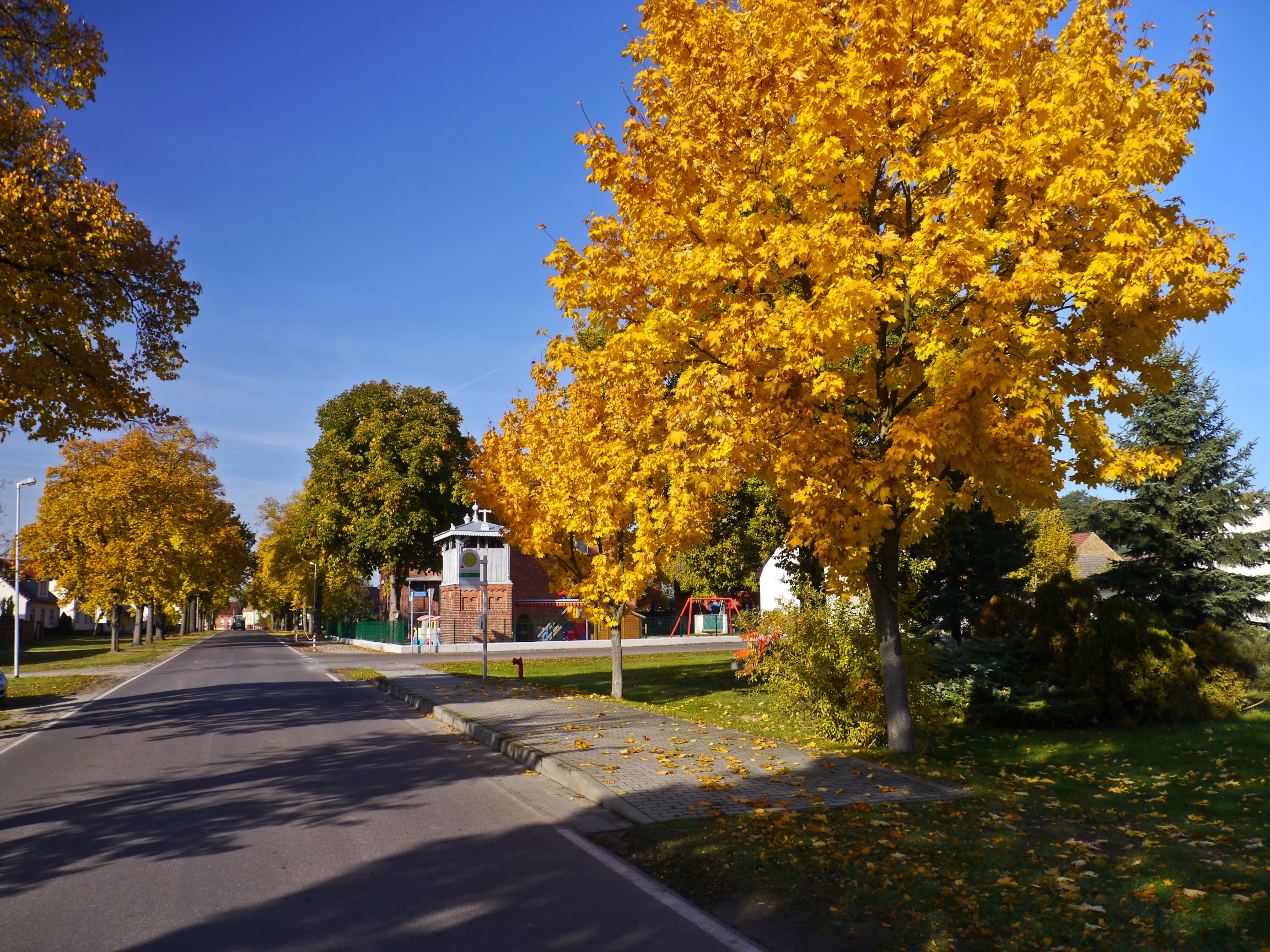 drehnow-im-herbst-h-mueller