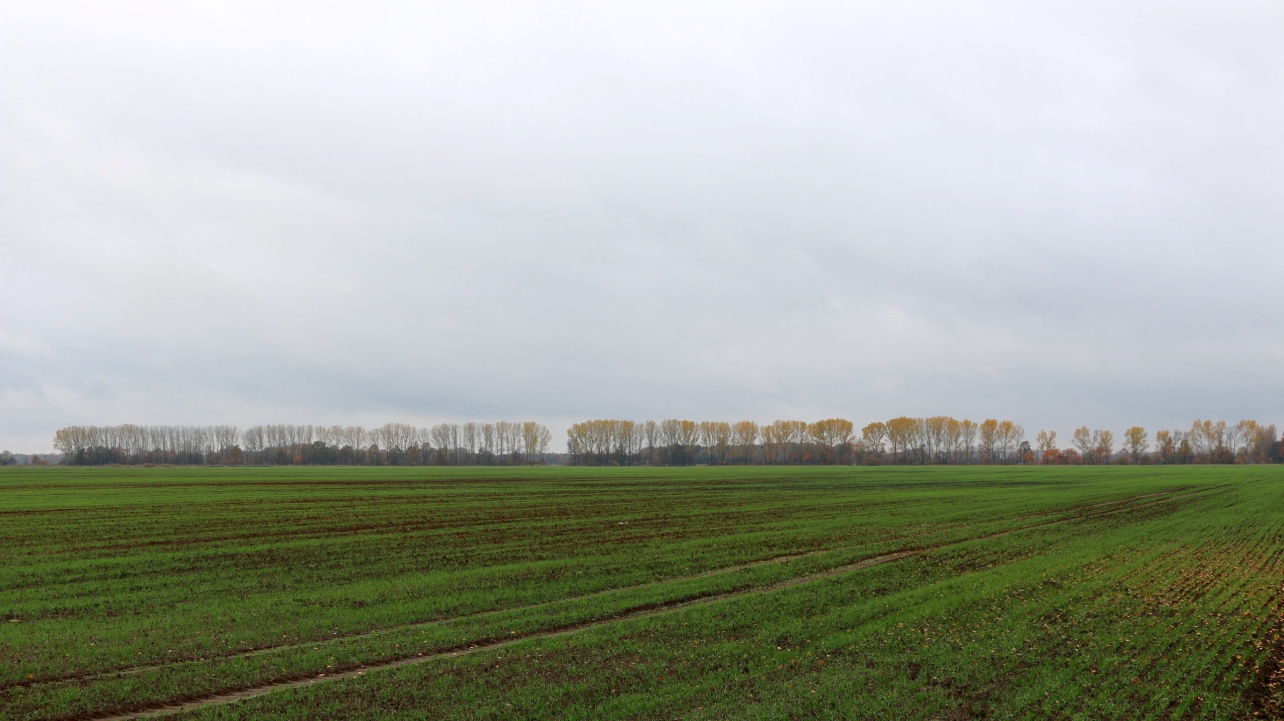 drehnower-herbstflur-1-k-f-muehler