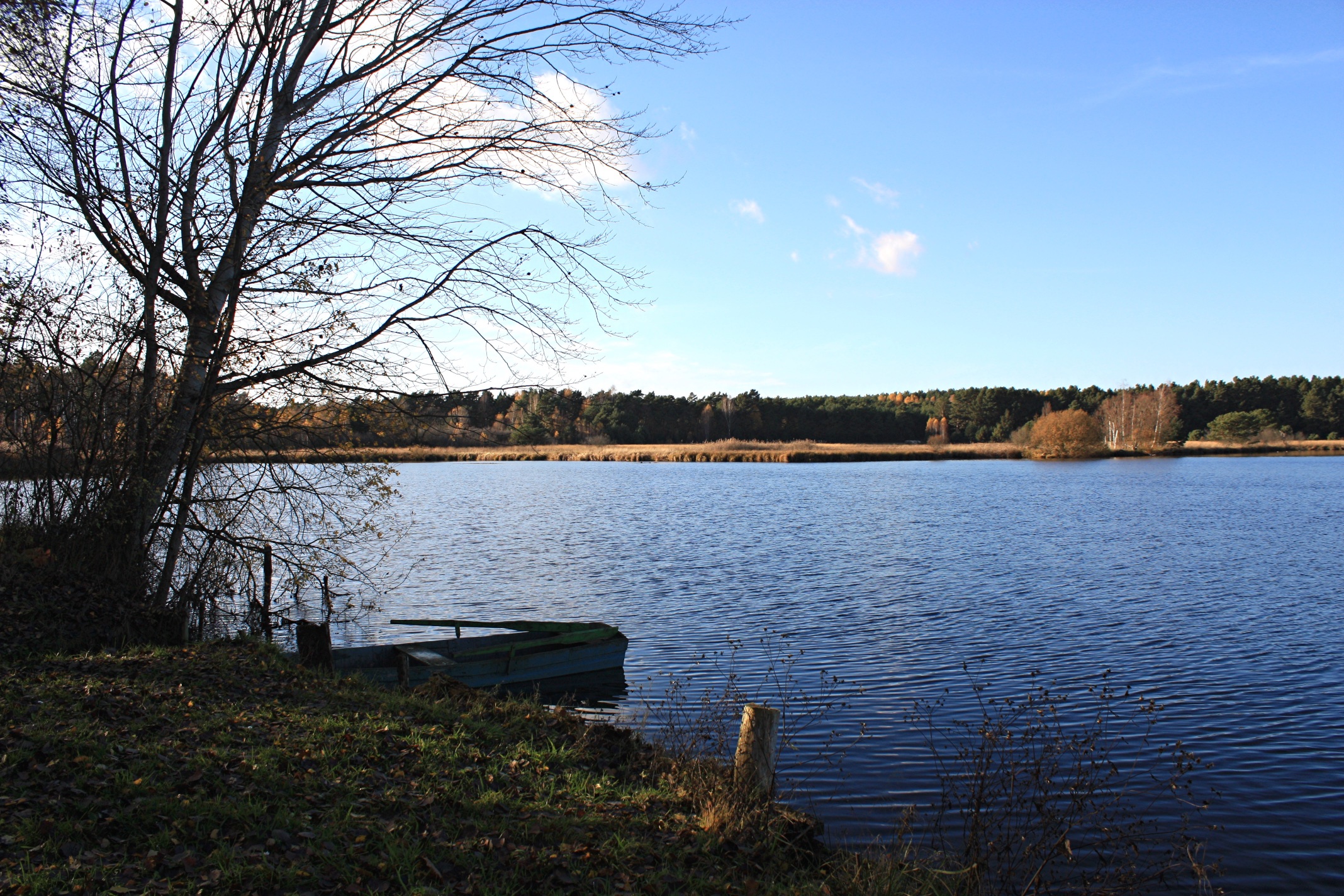 drewitz-calpenzmoor-1-r-karge_
