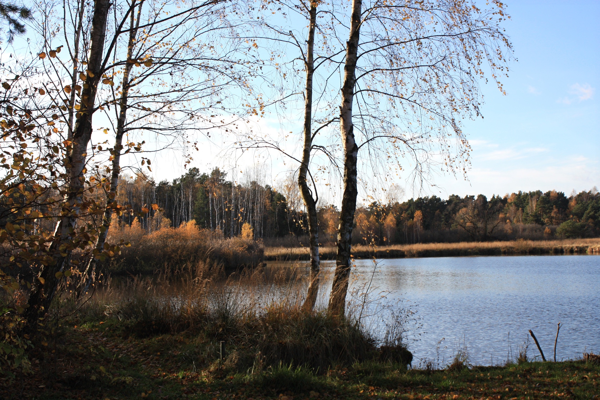 drewitz-calpenzmoor-2-r-karge_