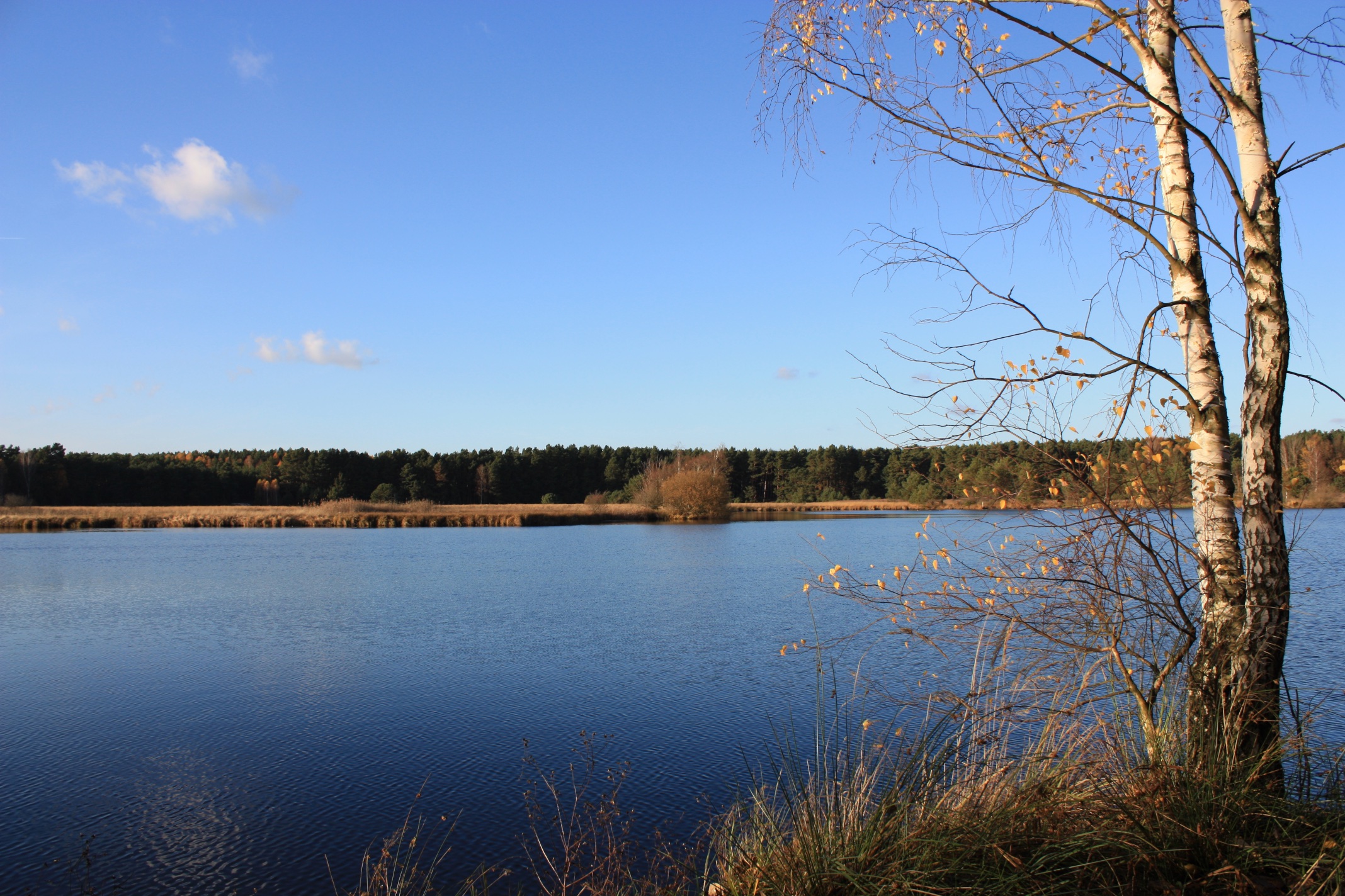 drewitz-calpenzmoor-3-r-karge_