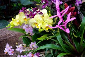 ega-erfurt-13-h-mucc88ller