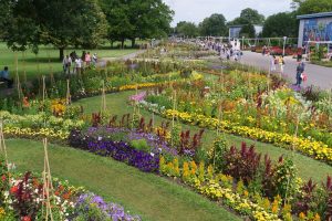 ega-erfurt-17-h-mucc88ller