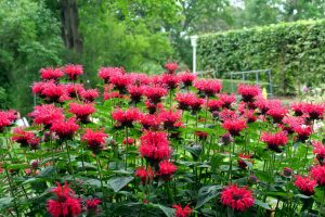 ega-erfurt-8-h-mucc88ller