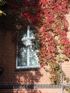 eingerahmt-bernd-opel_