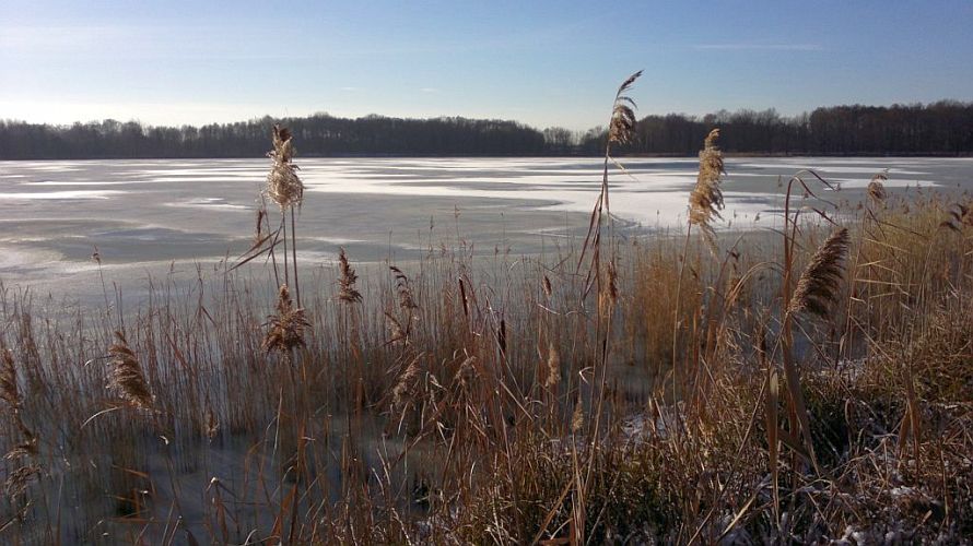 eis-auf-dem-streckteich-p-fritsch