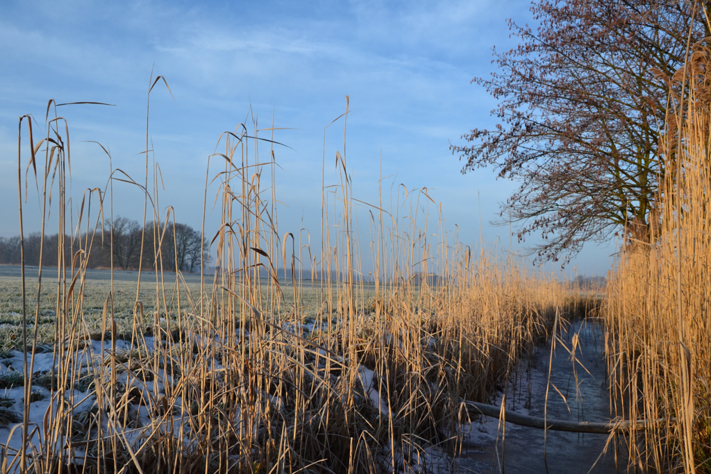 eiskalt-p-fritsch