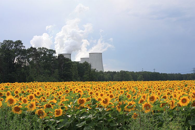 energiefeld-bei-sawoda-r-karge_