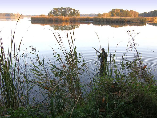 entenjagd-am-neuendorfer-teich-k-f-muehler
