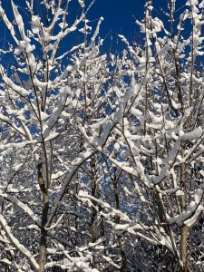 etwas-ganz-seltenes-bernd-opel