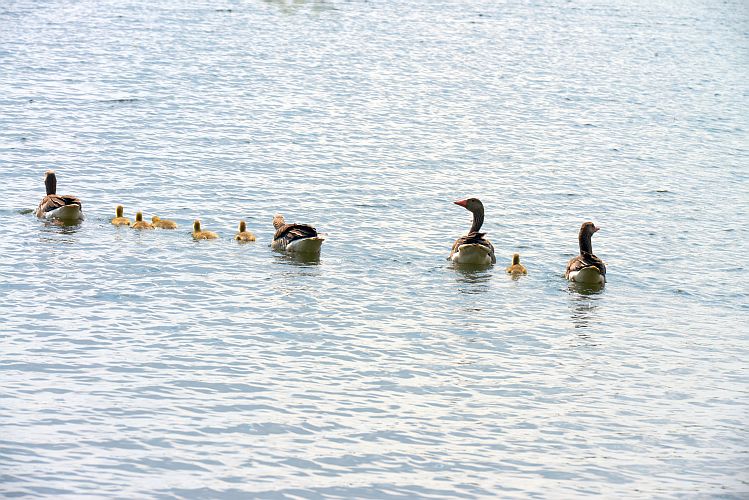 familienausflug-k-lange