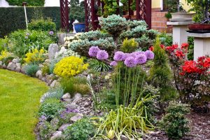 farbenfreude-h-mueller