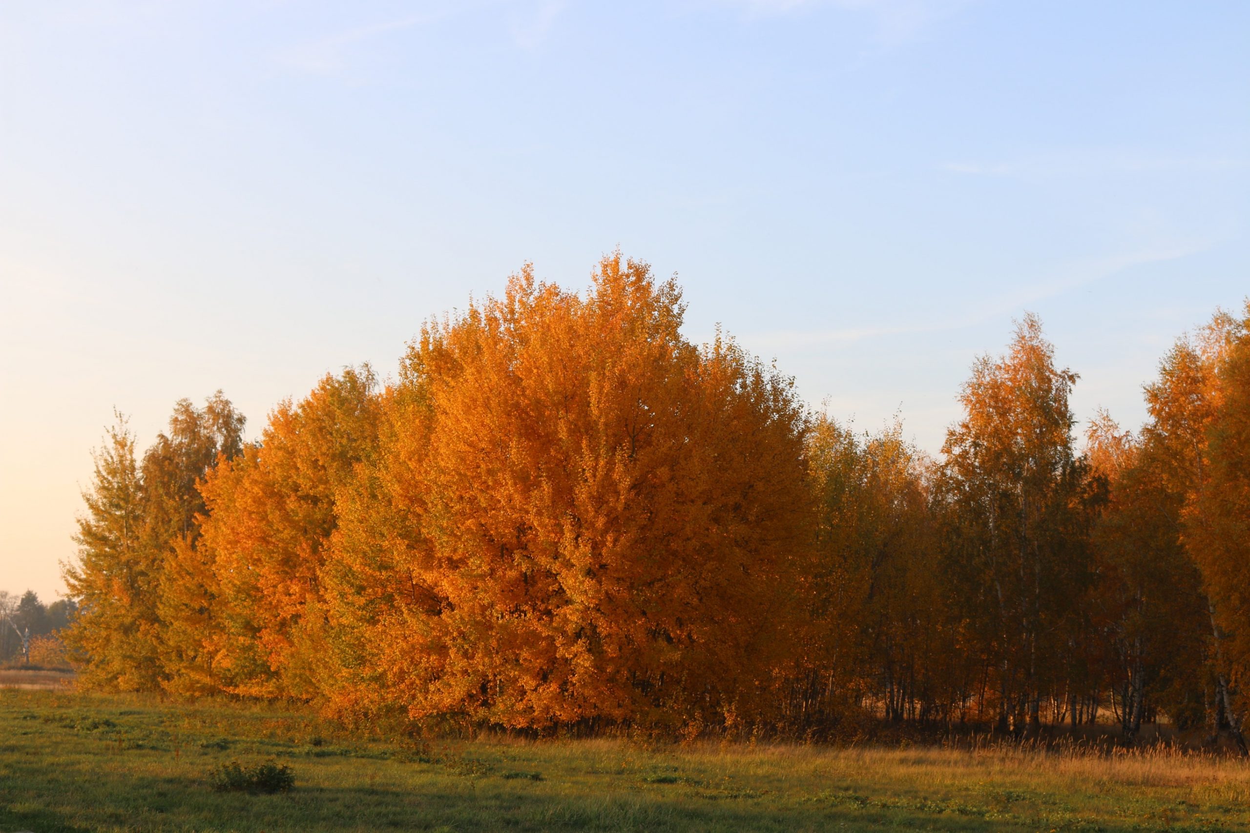 farbenpracht-am-kiessee-k-f-muehler
