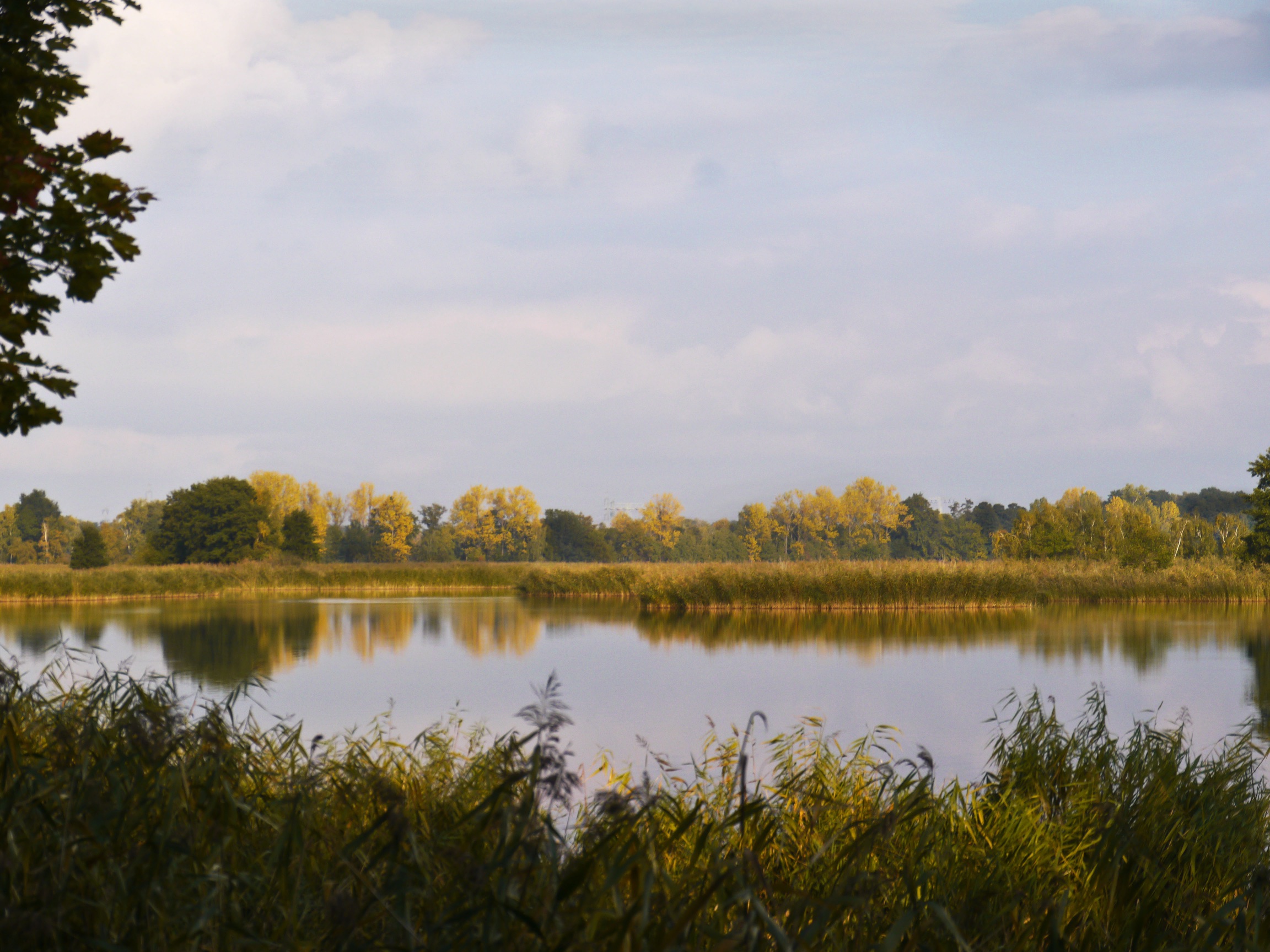 farbenspiel-am-teich-h-mueller