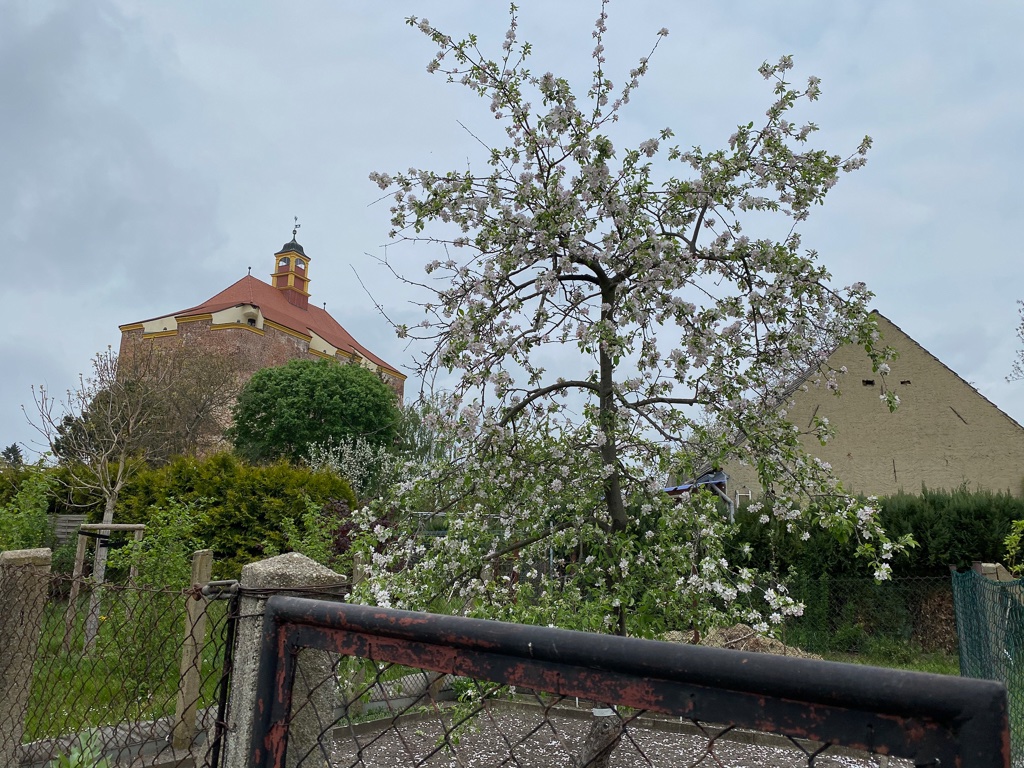 festung-mit-baumblucc88te-bernd-opel