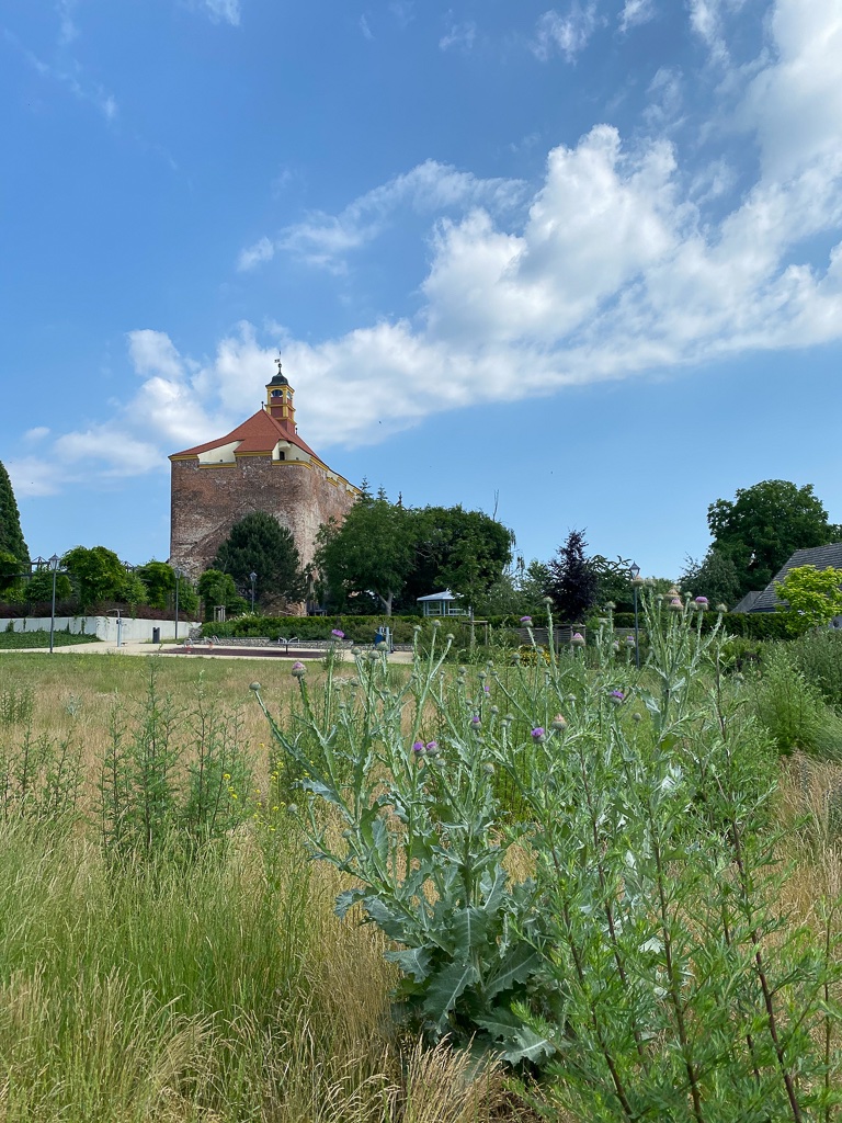 festungsgarten-bernd-opel