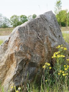 findlinge-2-k-f-muehler