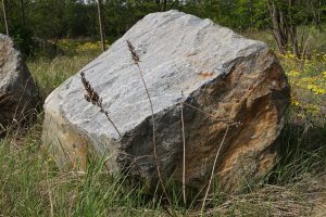 findlinge-6-k-f-muehler