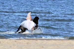 friesen-an-der-ostsee-3-k-f-mc3bchler