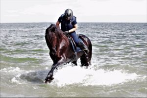 friesen-an-der-ostsee-5-k-f-mc3bchler