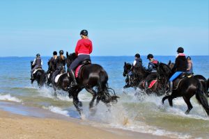 friesen-an-der-ostsee-6-k-f-mc3bchler
