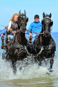 friesen-an-der-ostsee-7-k-f-mc3bchler