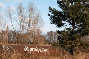 frohe-botschaft-k-f-mucc88hler