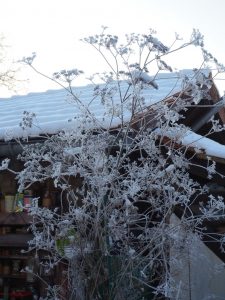 frostiges-bernd-opel