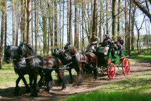 frucc88hlingsausfahrt-2-durch-wald-und-flur-k-f-mucc88hler