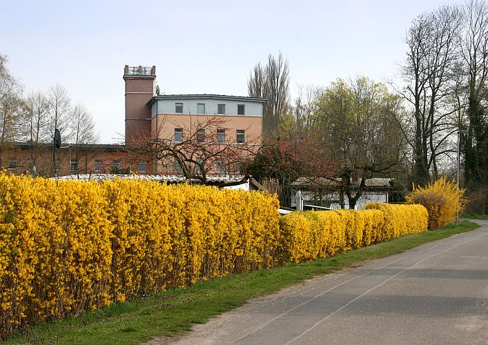 fruehling-an-der-garkoschke-hanskarl-moeller