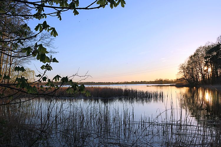 fruehlingsabend-am-peitzer-haelterteich-1-k-f-muehler