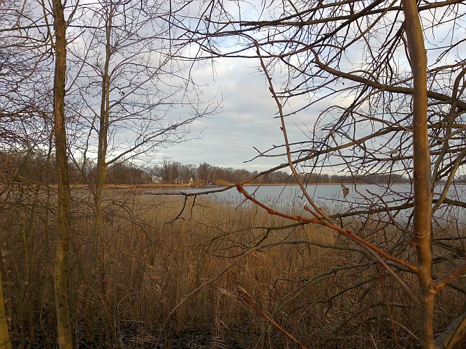 fruehlingsknospen-im-winter-p-fritsch