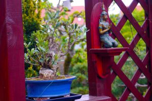 gartenandacht-h-mueller