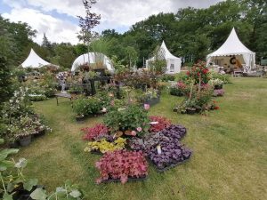 gartenfestival-2022-1-bernd-opel