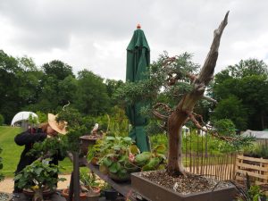 gartenfestival-2022-3-bernd-opel