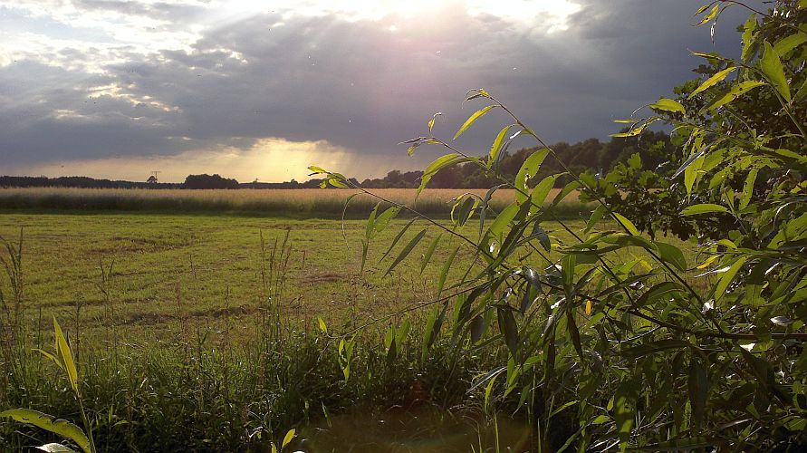 gewitterstimmung-in-der-mauster-feldmark-p-fritsch