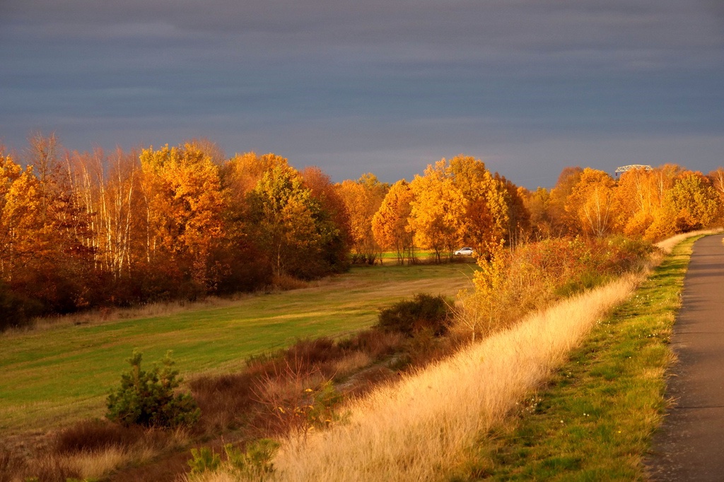 goldener-herbst-2-h-mucc88ller
